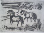 Roling.G.V.A.Roling.1904-1981. "Ponnies in Rivierbocht". 